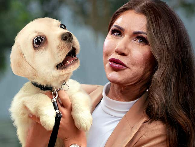 Image for article titled Kristi Noem Attempts To Relieve Tension From Negative Press By Squeezing Stress Dog