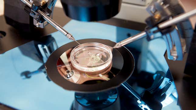 Image for article titled Quiz: How Much Do You Know About IVF?